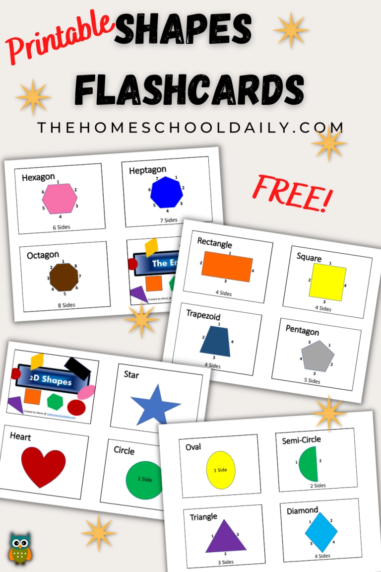 Shapes And Colors Printables amp Activities The Homeschool Daily