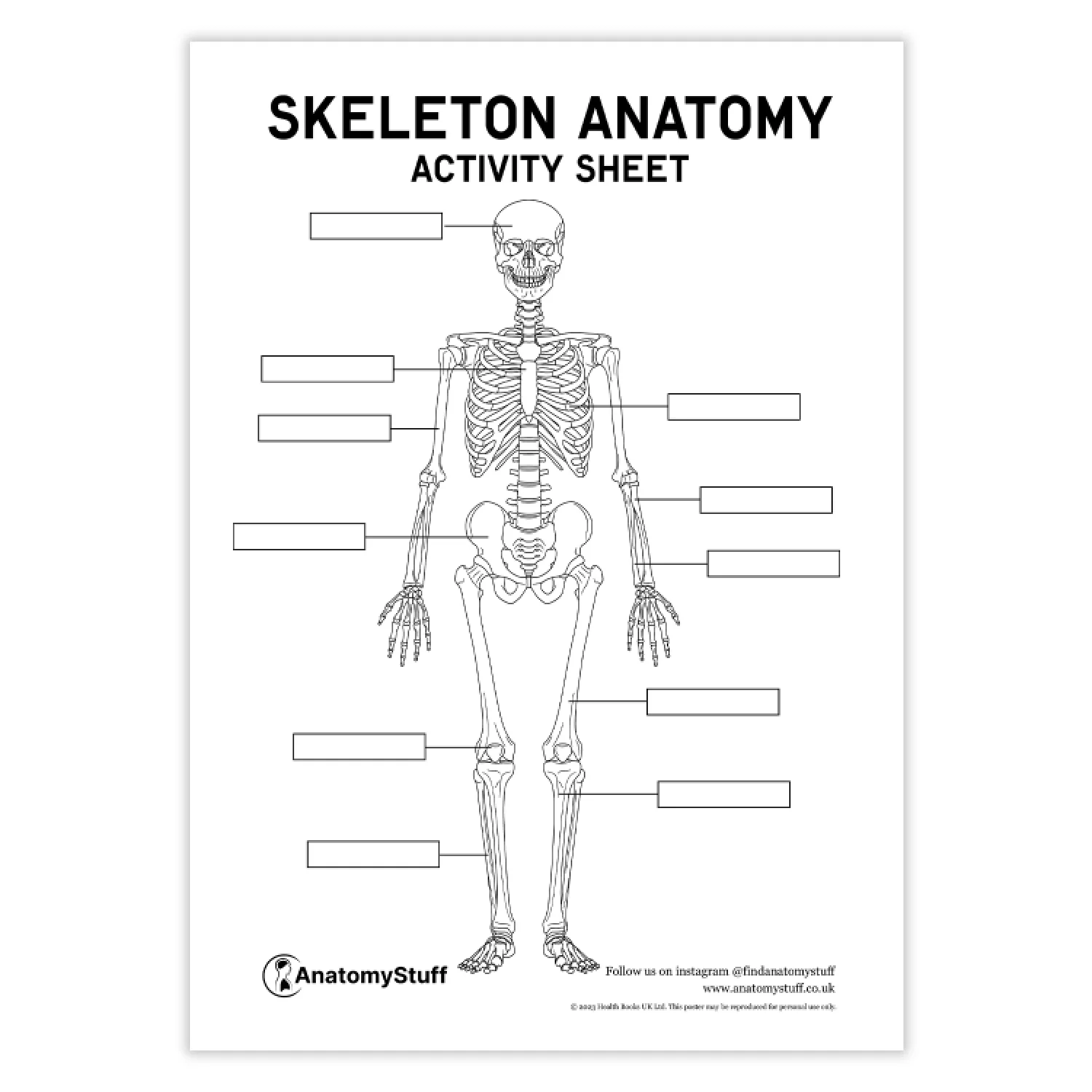 Skeleton Anatomy Activity Sheet PDF AnatomyStuff