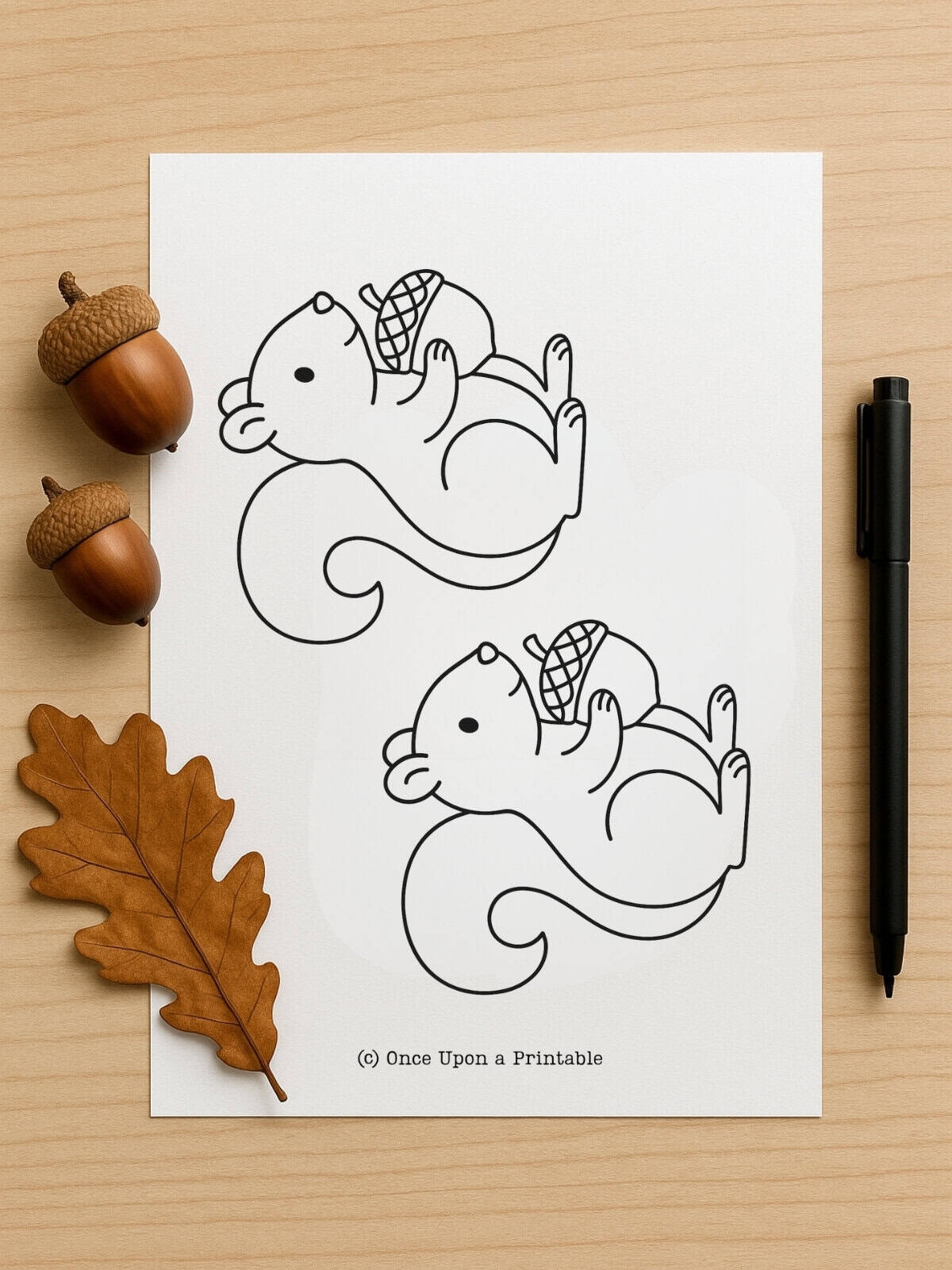 Squirrel Templates Free Printables Once Upon A Printable