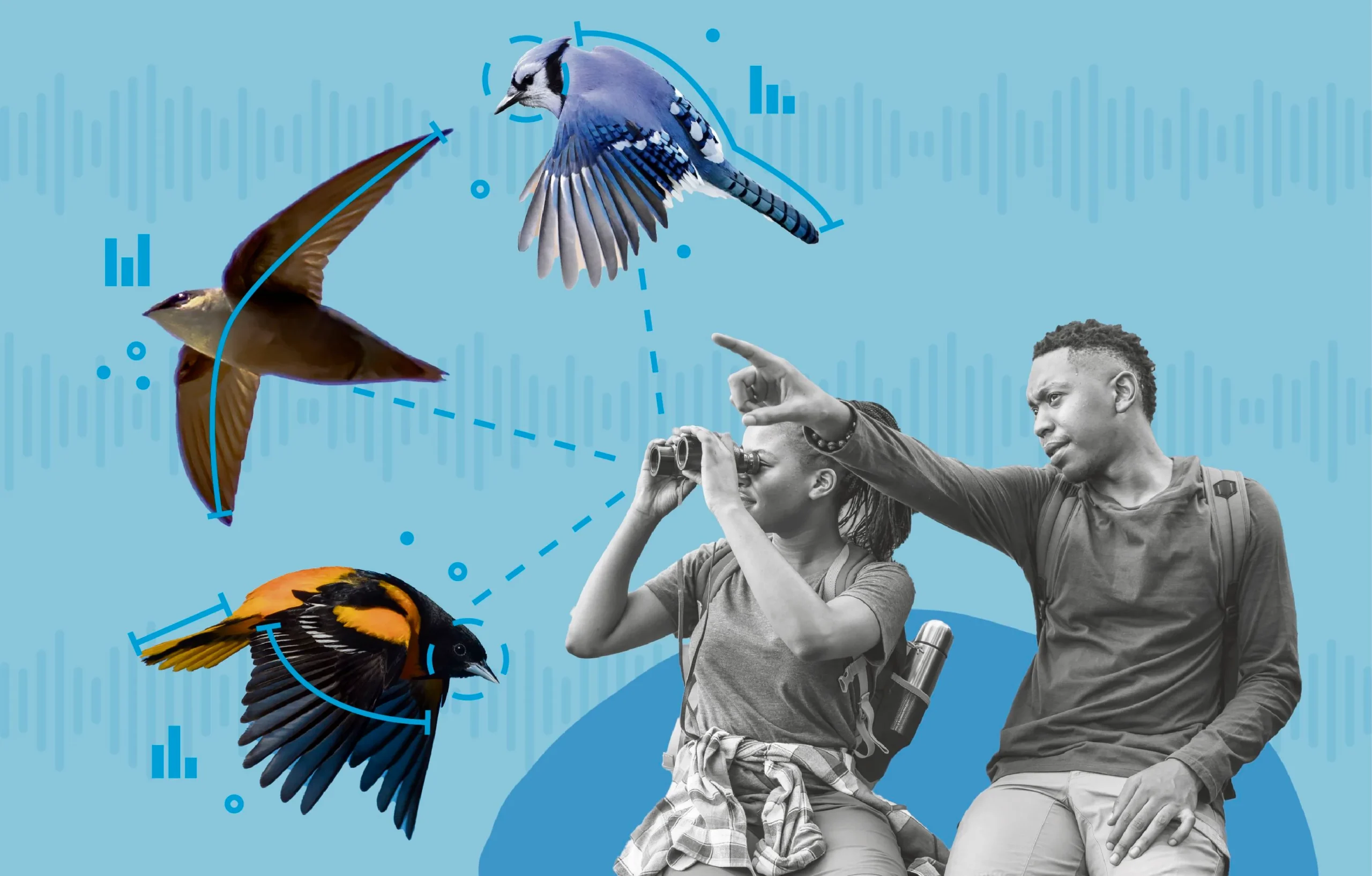 The Big Birding Boom Thanks To Technology And A Collective Desire 